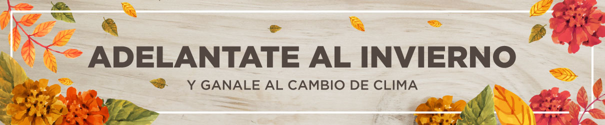 cambio de clima